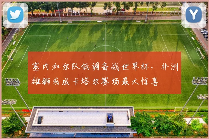 塞内加尔队低调备战世界杯，非洲雄狮或成卡塔尔赛场最大惊喜