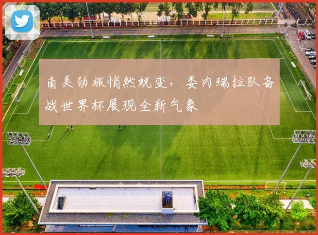 南美劲旅悄然蜕变，委内瑞拉队备战世界杯展现全新气象