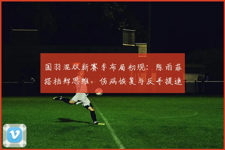 国羽混双新赛季布局初现：陈雨菲搭档郑思维，伤病恢复与反手提速成关键