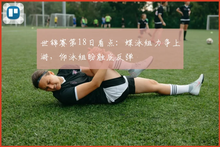 世锦赛第18日看点：蝶泳组力争上游，仰泳组盼触底反弹