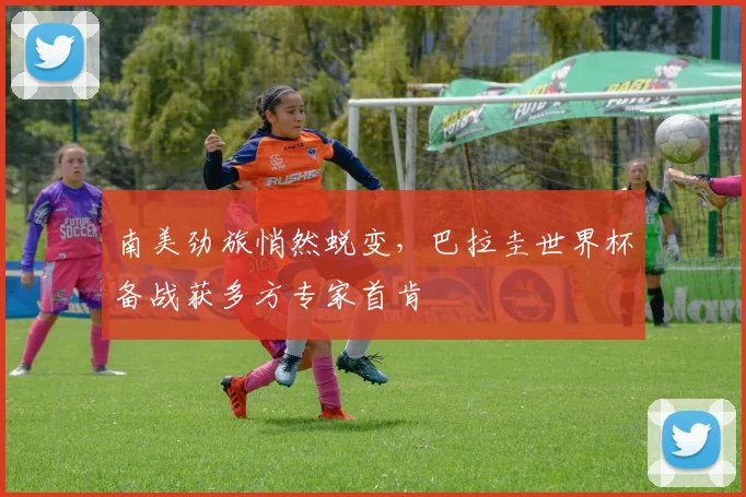 南美劲旅悄然蜕变，巴拉圭世界杯备战获多方专家首肯