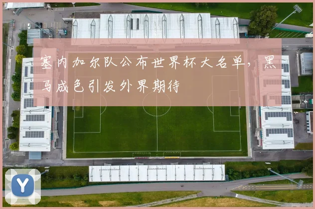 塞内加尔队公布世界杯大名单，黑马成色引发外界期待